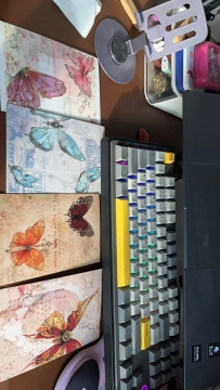 第一次收到快递寄的明信片