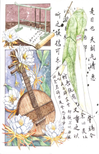 心仪的插画风明信片