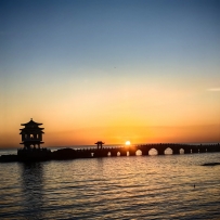 元旦快乐